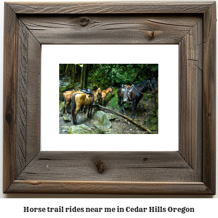 horse trail rides near me in Cedar Hills, Oregon